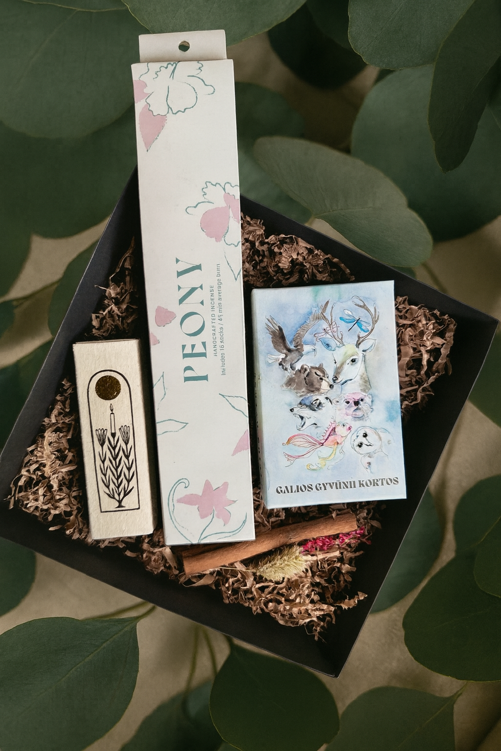 DOVANŲ RINKINYS | GALIOS GYVŪNAI