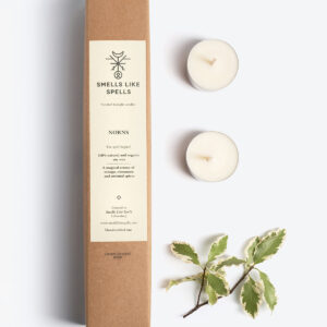 KVAPIOSIOS ŽVAKUTĖS "SMELLS LIKE SPELLS | NORNS"