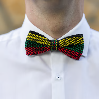 Varlytė su Lietuvos vėliavos spalvomis