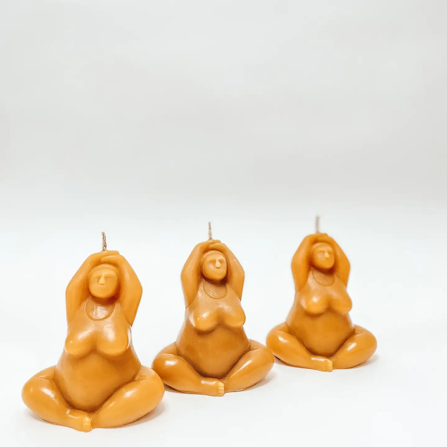 BIČIŲ VAŠKO ŽVAKĖ | LOTUS GIRL - Image 2